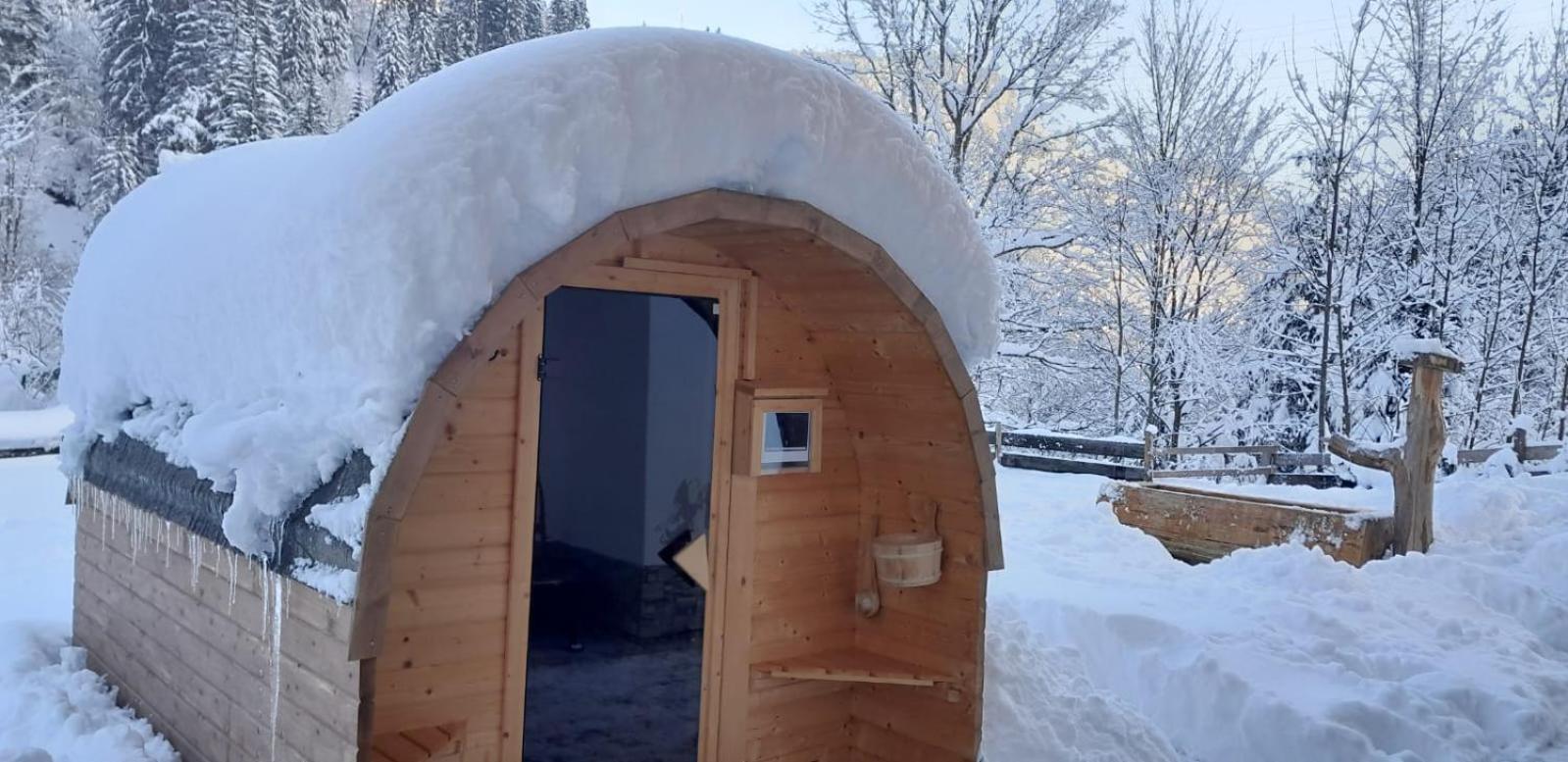Riedlfeld Chalet Dienten am Hochkönig 外观 照片